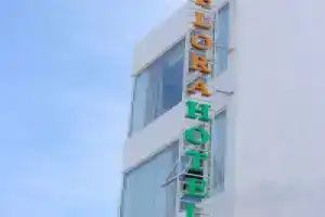 Flora Hotel Hue, Хюэ
