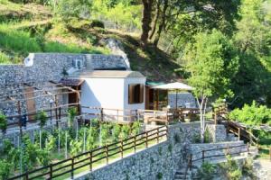 Tenuta Bosco, Четара