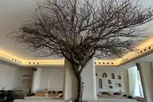Dibba Sea View Hotel by AMA Pro, Дибба
