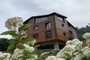Отель «Didi Butik Otel», Ризе