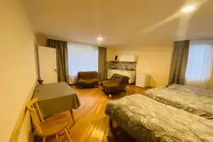 ბორჯომი საოჯახო სასტუმრო "გიომანი" Borjomi Guest House "GioMaNi" დასვენება ბორჯომში "GioMaNi", Боржоми