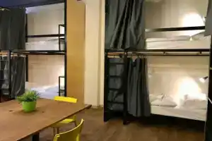 Хостел «Дерево», Москва