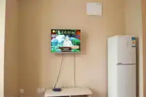 Love Apartment (Dalian Wanda Plaza Branch), Далянь