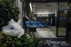 Hotel «Splendor Elysées», Париж