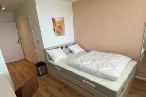 Comfort Studio in a Premium Residence- Sport/cinema, Вайль-на-Рейне