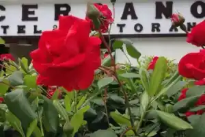 Hotel «Cerrano», Сильви-Марина