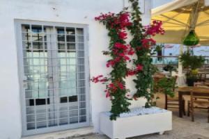 Ceglie Suites & Apartments - Celso, Челье-Мессапика