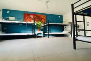 The Paceville International House., Пемброк