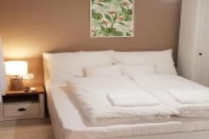 Rigó Apartman, Кестхей