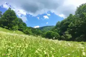Orbi Palace Bakuriani app 407, Бакуриани