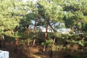 Meerblick Heringsdorf, Херингсдорф