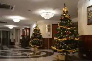 Hotel «Prezydent Krynica Zdrój», Крыница