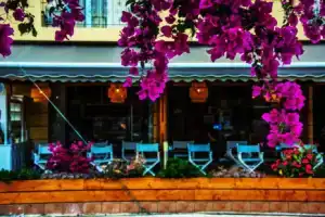 Theano Hotel, Порос
