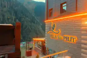 Ayder Villa de Pelit Hotel, Айдер