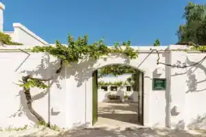 Ферма «Masseria Narducci», Фазано