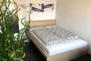 Business Apartment, Регенсбург