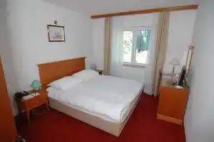 Hotel «Villa Dvor», Омис