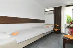 Hotel «Kamelija», Тиват