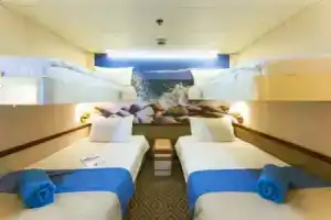 M/V Gemini, Чешме