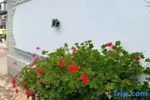 Qingke Yimeng Homestay, Лицзян