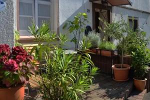 La Terrazza Pension***, Ирциг