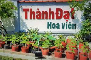 Thanh Dat Resort, Кантхо