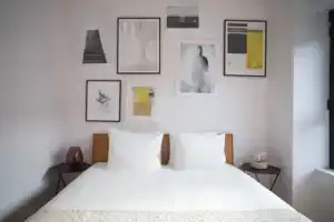 The Five Star, Брюссель