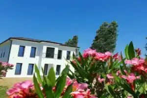 Nerium Garden Inn Tirana Airport, Ринас