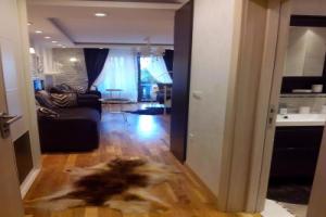 Visnja Apartment, Копаоник