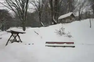 Kurortnyy Hotel Kvele Polyana, Поляна