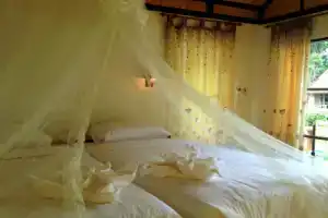 Отель «Nautilus Right On The Beach - Adult Only - Sha Extra Plus», Остров Ланта