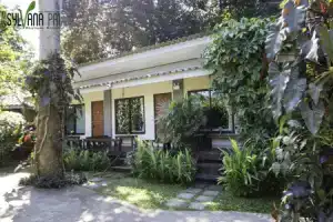 Мини-отель «The Sylvana», Пай