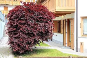 Luxury Apt Dolomites 2, Каризоло