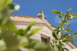 Отель «Masseria Santo Scalone», Остуни