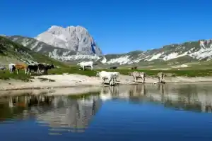 mira, Пескара