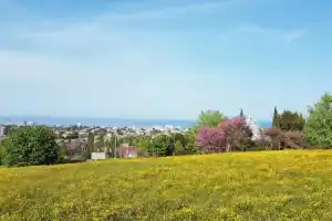 CasaRava Sul Parco, Риччионе