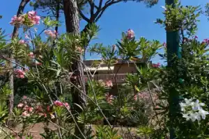 Holiday Home Grosseto Near Uccellina Beaches, Принчпина-а-Маре