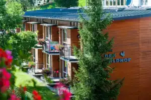 Hotel «Der Waldhof», Целль-ам-Зе