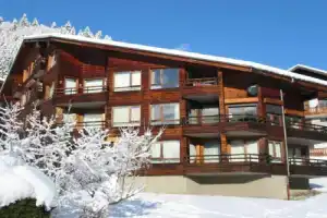 Appartement Morzine, 2 pièces, 4 personnes - FR-1-524-101, Морзин