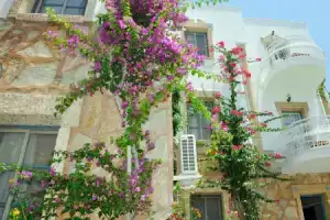 Siesta Beach Apartment, Гюмбет
