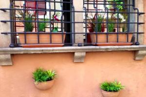 Hotel «Domus Tiberina», Рим