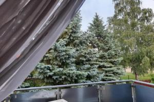 Fitt Apartman, Ленти