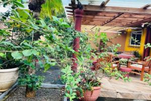 Effi Mountain View Colibri Villa, остров Иден