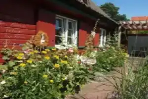 Reetdach _ Promenadenblick _ 500m, Остзеебад Преров