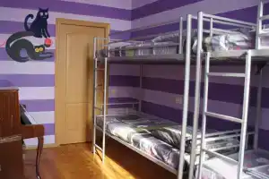 Kind Cat, Москва