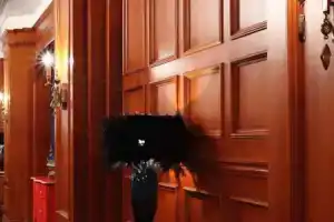 Aaron'S House, Шанхай