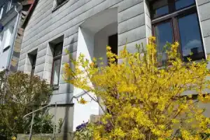 Reisekultouren Apartments Detmold, Детмольд