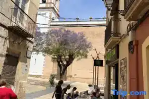 Loreto N1, Дения