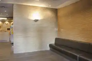Sankei City Hotel Hachioji, Хатиодзи