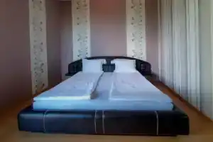 Dolna Bania Hotel, Долна-Баня